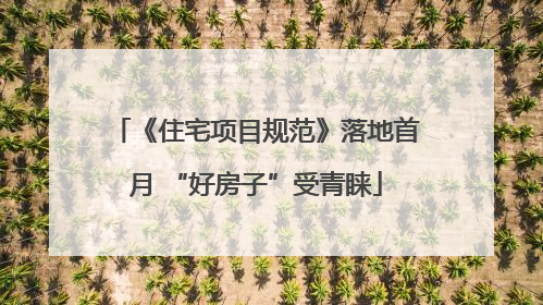 《住宅项目规范》落地首月 “好房子”受青睐