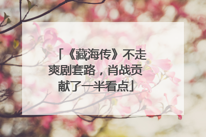 《藏海传》不走爽剧套路,肖战贡献了一半看点