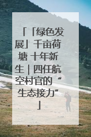 「绿色发展」千亩荷塘 十年新生｜四任航空村官的“生态接力”