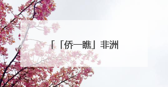 「侨一瞧」非洲日狂欢！他们用色彩“定义”非洲
