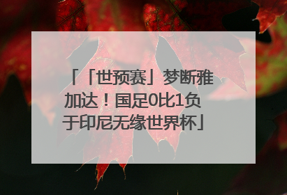「世预赛」梦断雅加达！国足0比1负于印尼无缘世界杯