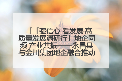 「强信心 看发展·高质量发展调研行」地企同频 产业共振——永昌县与金川集团地企融合推动重大项目建设