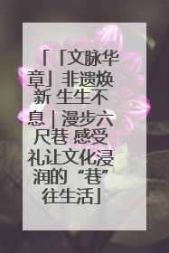 「文脉华章」非遗焕新 生生不息｜漫步六尺巷 感受礼让文化浸润的“巷”往生活