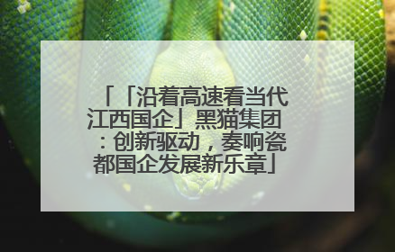 「沿着高速看当代江西国企」黑猫集团：创新驱动，奏响瓷都国企发展新乐章