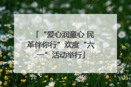 “爱心润童心 民革伴你行”欢度“六一”活动举行