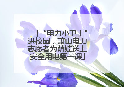 “电力小卫士”进校园，萧山电力志愿者为萌娃送上安全用电第一课