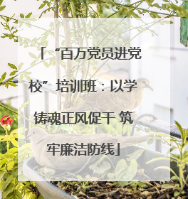 “百万党员进党校”培训班：以学铸魂正风促干 筑牢廉洁防线