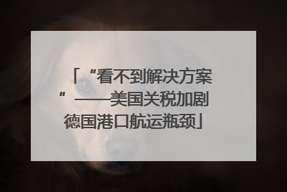 “看不到解决方案”——美国关税加剧德国港口航运瓶颈