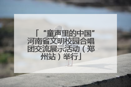 “童声里的中国”河南省文明校园合唱团交流展示活动（郑州站）举行