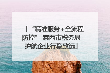 “精准服务+全流程防控” 莱西市税务局护航企业行稳致远
