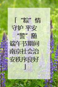 “粽”情守护 平安“警”随 端午节期间南京社会治安秩序良好