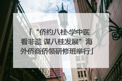 “侨约八桂·学中医 看非遗 谋八桂发展”海外侨商侨领研修班举行