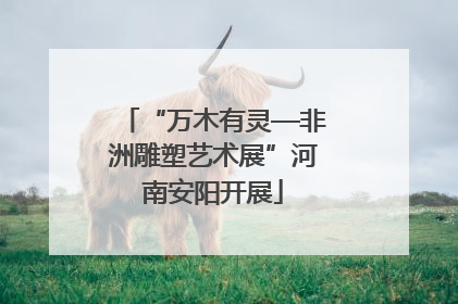 “万木有灵—非洲雕塑艺术展”河南安阳开展
