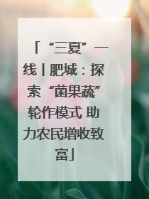 “三夏”一线丨肥城：探索“菌果蔬”轮作模式 助力农民增收致富