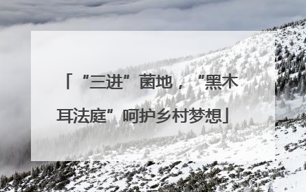 “三进”菌地，“黑木耳法庭”呵护乡村梦想