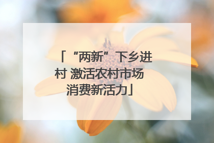 “两新”下乡进村 激活农村市场消费新活力