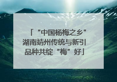“中国杨梅之乡”湖南靖州传统与新引品种共绽“梅”好