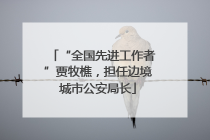 “全国先进工作者”贾牧樵，担任边境城市公安局长