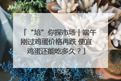 “培”你探市场｜端午刚过鸡蛋价格再跌 便宜鸡蛋还能吃多久？