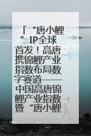 “唐小鲤”IP全球首发！高唐携锦鲤产业指数布局数字赛道——中国高唐锦鲤产业指数暨“唐小鲤”IP全球首发仪式在杭州举行