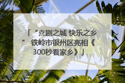 “喜剧之城 快乐之乡” 铁岭市银州区亮相《300秒看家乡》