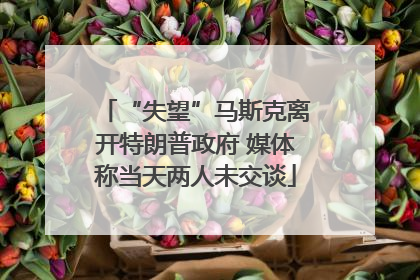 “失望”马斯克离开特朗普政府 媒体称当天两人未交谈