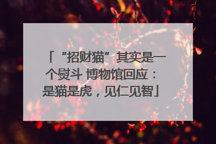 “招财猫”其实是一个熨斗 博物馆回应：是猫是虎，见仁见智