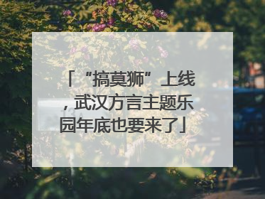 “搞莫狮”上线，武汉方言主题乐园年底也要来了