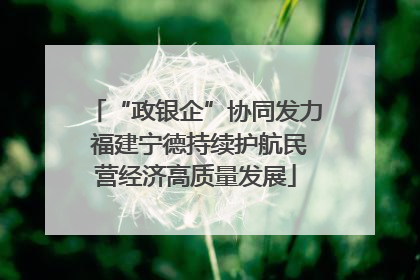 “政银企”协同发力 福建宁德持续护航民营经济高质量发展