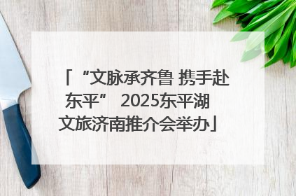 “文脉承齐鲁 携手赴东平” 2025东平湖文旅济南推介会举办