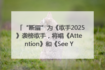 “断眉”为《歌手2025》袭榜歌手，将唱《Attention》和《See You Again》