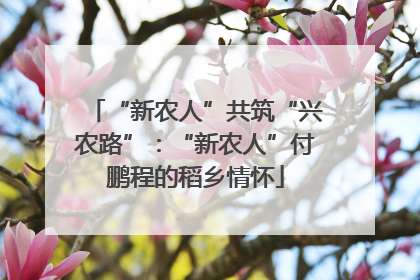 “新农人”共筑“兴农路”：“新农人”付鹏程的稻乡情怀