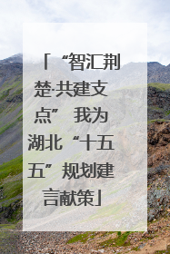 “智汇荆楚·共建支点” 我为湖北“十五五”规划建言献策