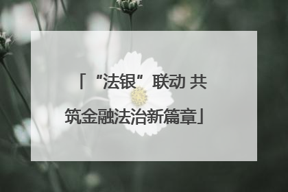 “法银”联动 共筑金融法治新篇章