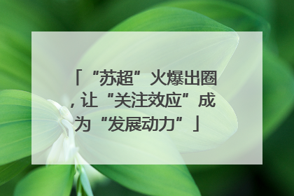 “苏超”火爆出圈，让“关注效应”成为“发展动力”