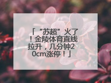 “苏超”火了！金陵体育直线拉升，几分钟20cm涨停！