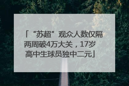 “苏超”观众人数仅隔两周破4万大关，17岁高中生球员独中二元