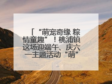 “萌宠奇缘 粽情童趣”！桃浦镇这场迎端午、庆六一主题活动“萌”翻全场～
