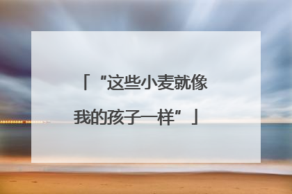 “这些小麦就像我的孩子一样”
