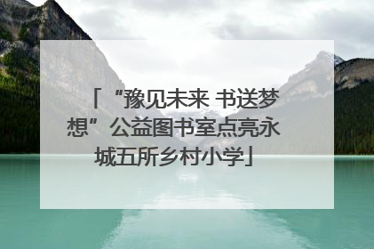 “豫见未来 书送梦想”公益图书室点亮永城五所乡村小学