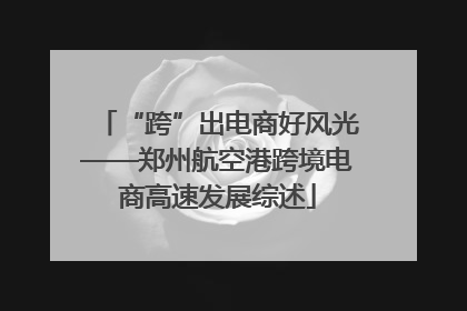 “跨”出电商好风光——郑州航空港跨境电商高速发展综述
