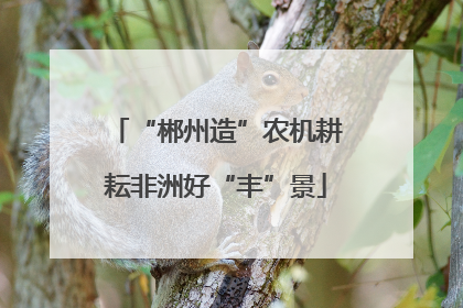 “郴州造”农机耕耘非洲好“丰”景