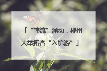 “韩流”涌动，郴州大举拓客“入境游”