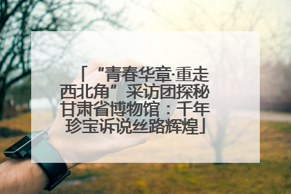 “青春华章·重走西北角”采访团探秘甘肃省博物馆：千年珍宝诉说丝路辉煌