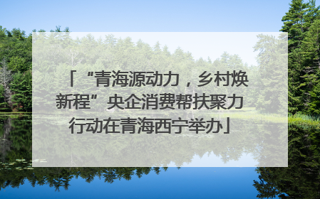 “青海源动力，乡村焕新程”央企消费帮扶聚力行动在青海西宁举办