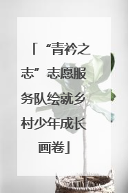 “青衿之志”志愿服务队绘就乡村少年成长画卷