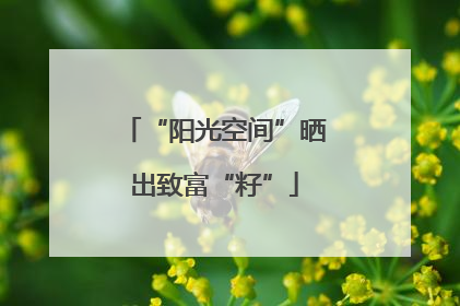 “阳光空间”晒出致富“籽”