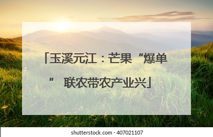 玉溪元江：芒果“爆单” 联农带农产业兴