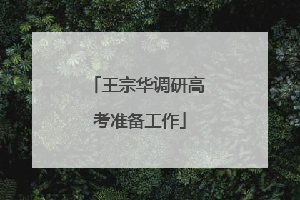 王宗华调研高考准备工作