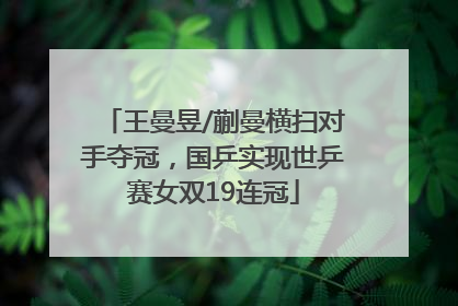 王曼昱/蒯曼横扫对手夺冠，国乒实现世乒赛女双19连冠